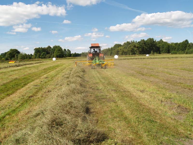 Z300-410 bild (3)